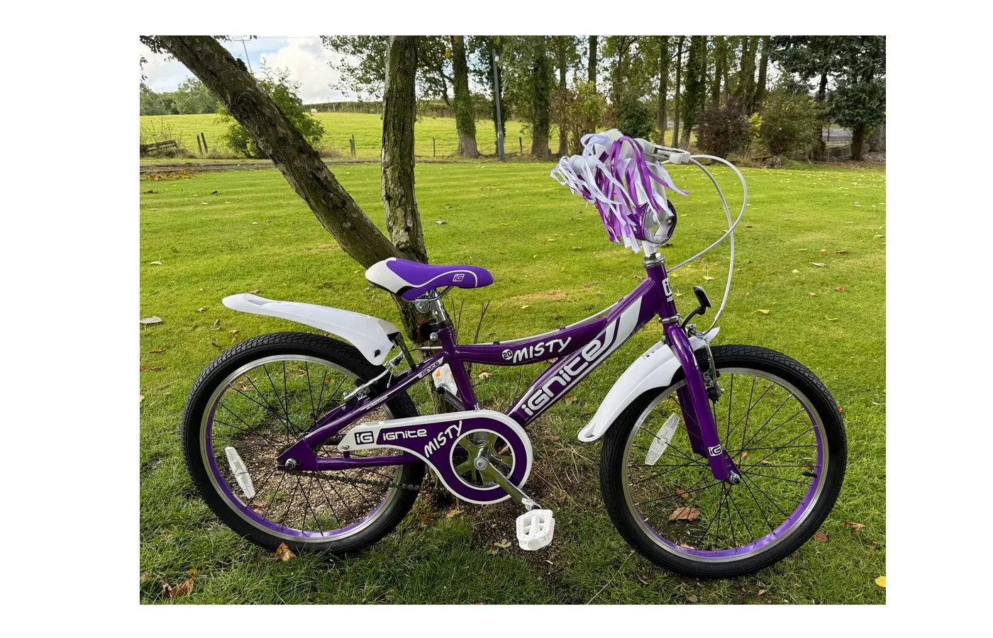 20" Ignite Misty