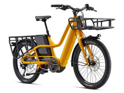 Momentum Payak E+ Cargo Bike