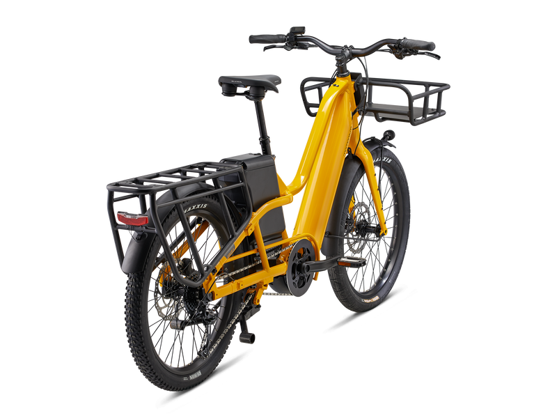 Momentum Payak E+ Cargo Bike
