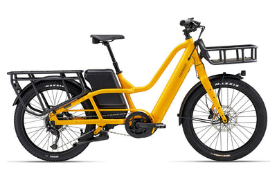 Momentum Payak E+ Cargo Bike