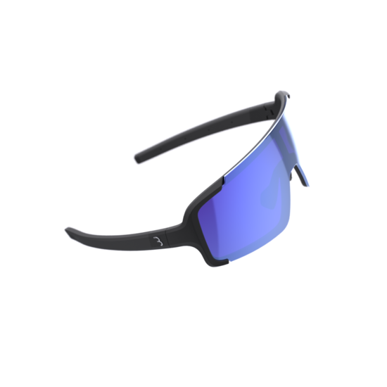 BBB Chester Sunglasses BSG-69