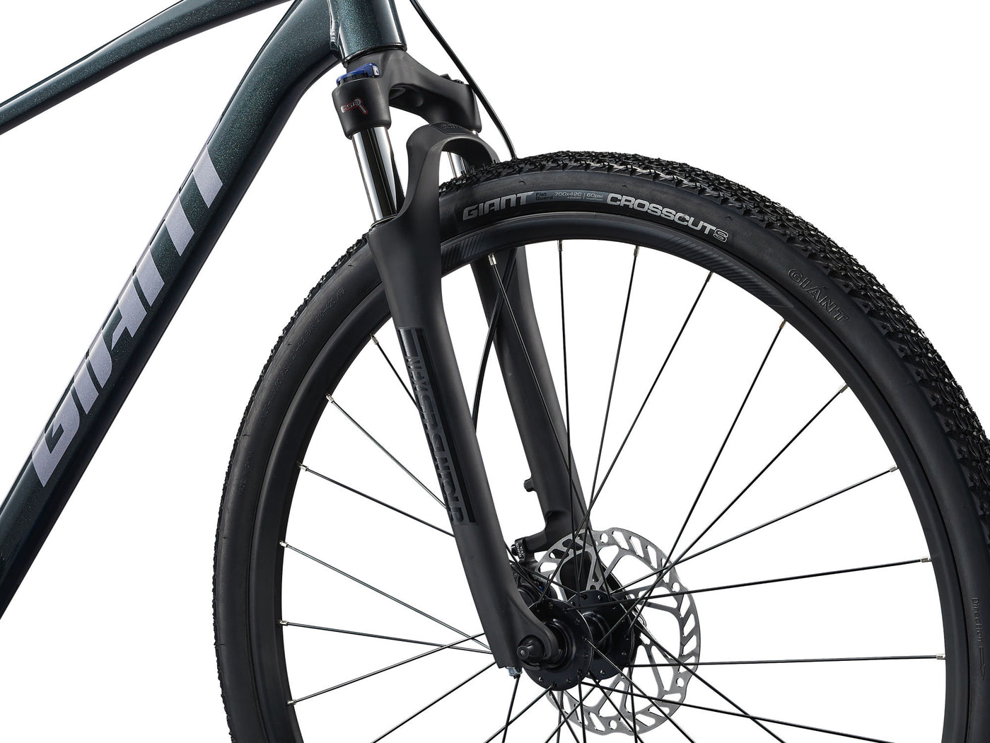 Giant Roam 2 2026