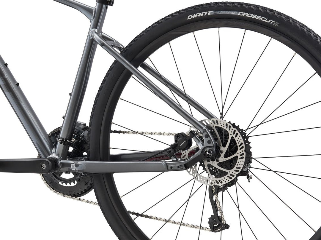 Giant roam bike clearance