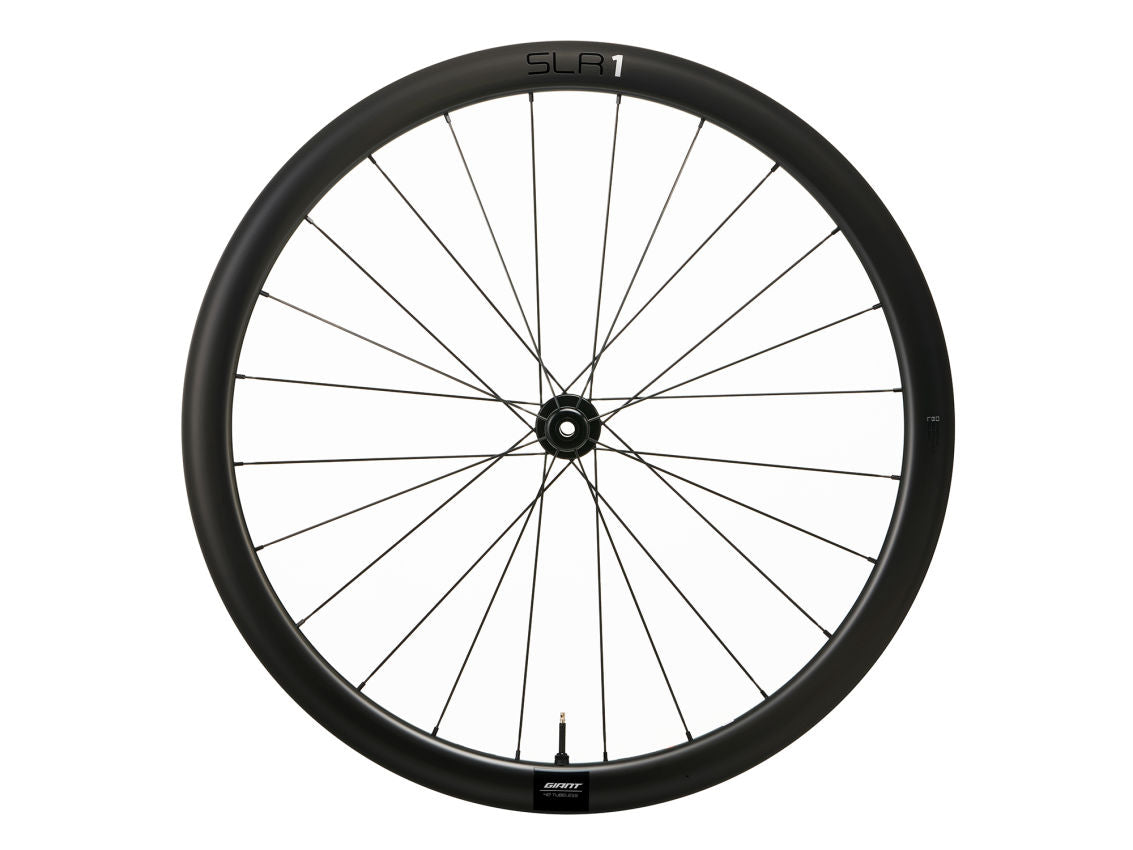 Giant SLR 1 42 Disc Carbon Wheel