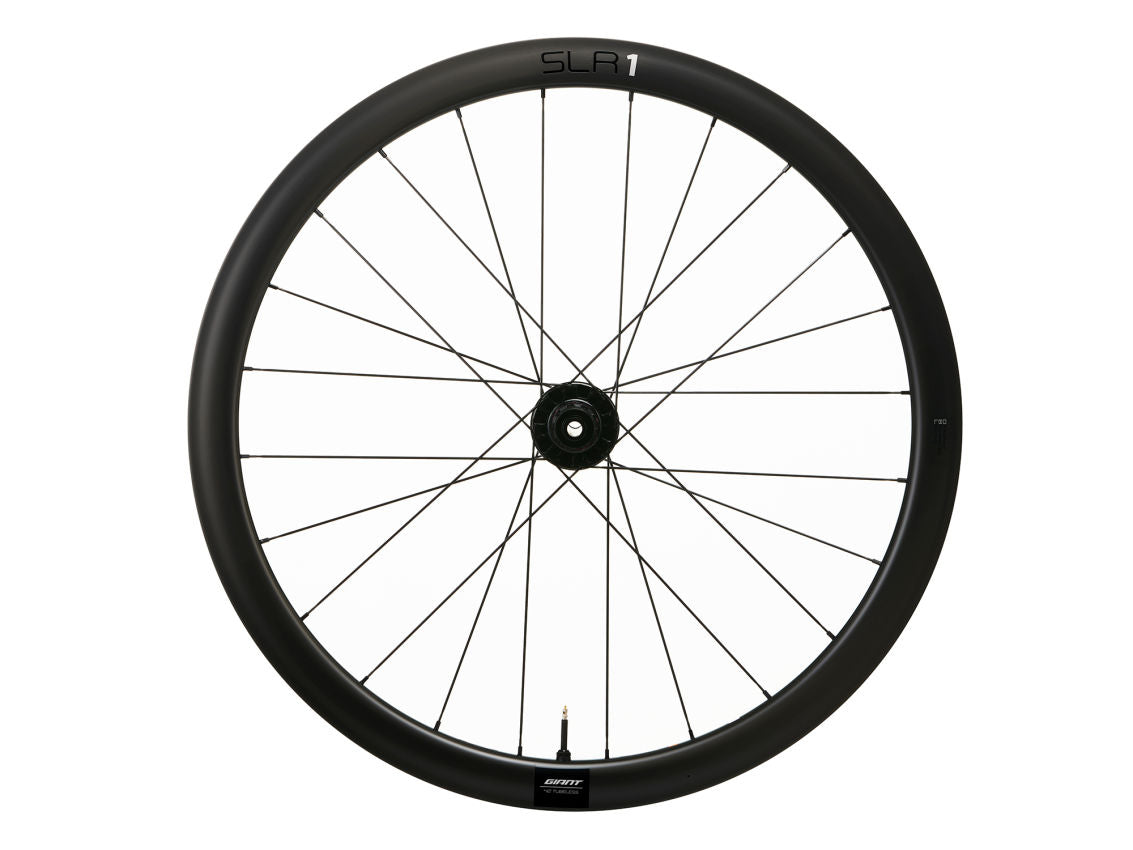 Giant SLR 1 42 Disc Carbon Wheel