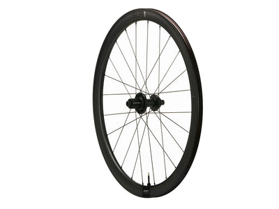 Giant SLR 1 42 Disc Carbon Wheel